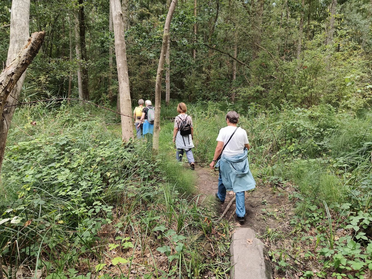 Silsomboswandeling 21.08.2026
