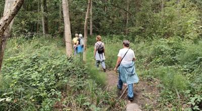 Silsomboswandeling 21.08.2026