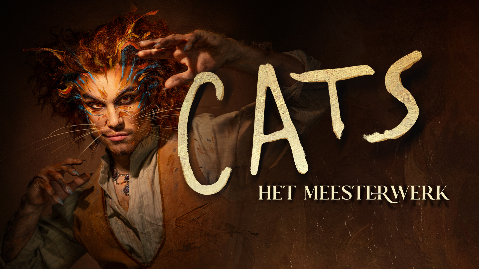 Cats Foto Rob Jacobs 1920X1080