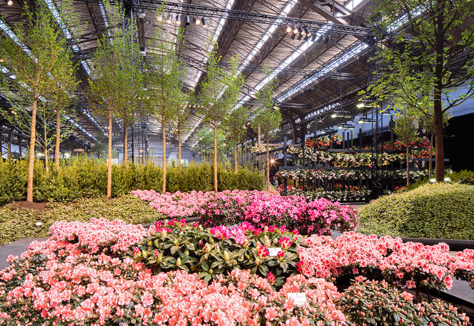 37Abdf8b E1bf 40D4 B0b5 Fee36d7e5e06