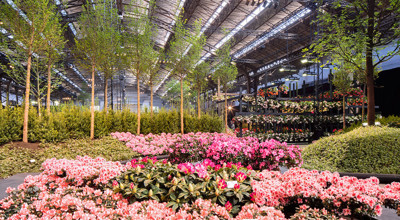 37Abdf8b E1bf 40D4 B0b5 Fee36d7e5e06