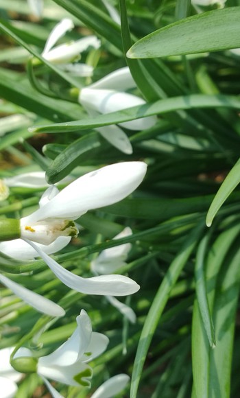 IMG 20240307 110055270 HDR