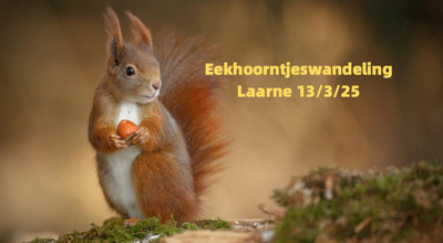2025-03-25 / Eekhoorntjeswandeling in Laarne Fotor