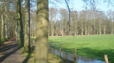 Franciscanessen