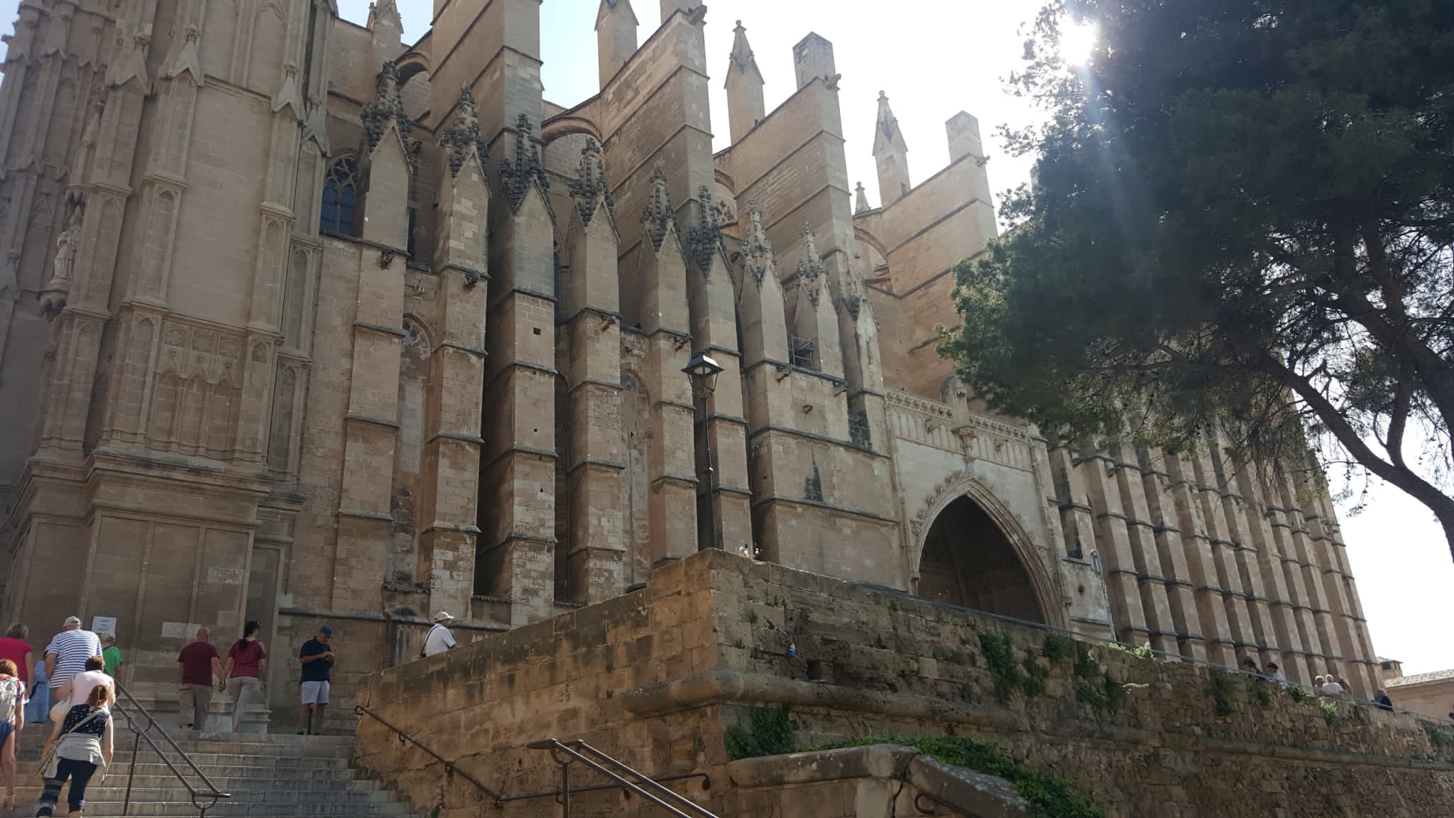 Photo 2022 05 20 10 03 31 (1)