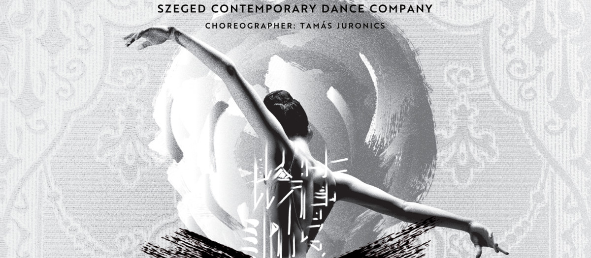 Amadeus 1080 X 1080 Only Title