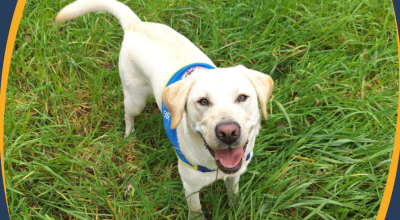 331 Mita Rudy En Finna.1467130C104564f79d06ebaafca61baf