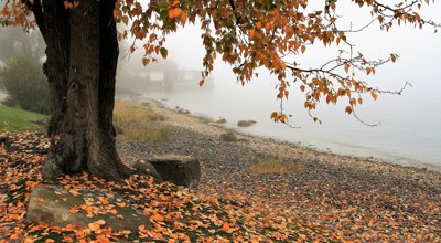 Autumn 3144379