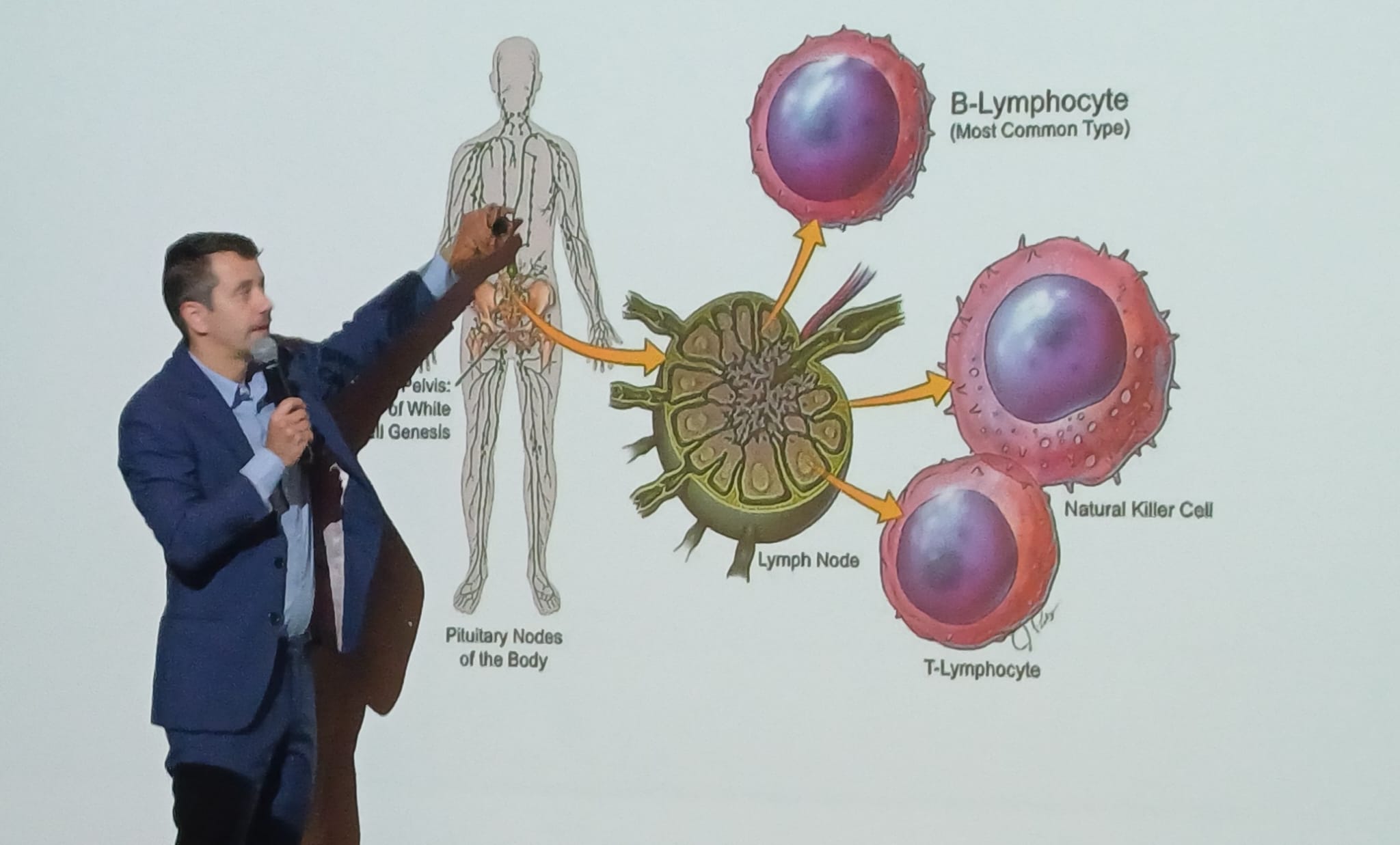 Whatsapp Image 2026 04 02 At 16.39.56 (4)