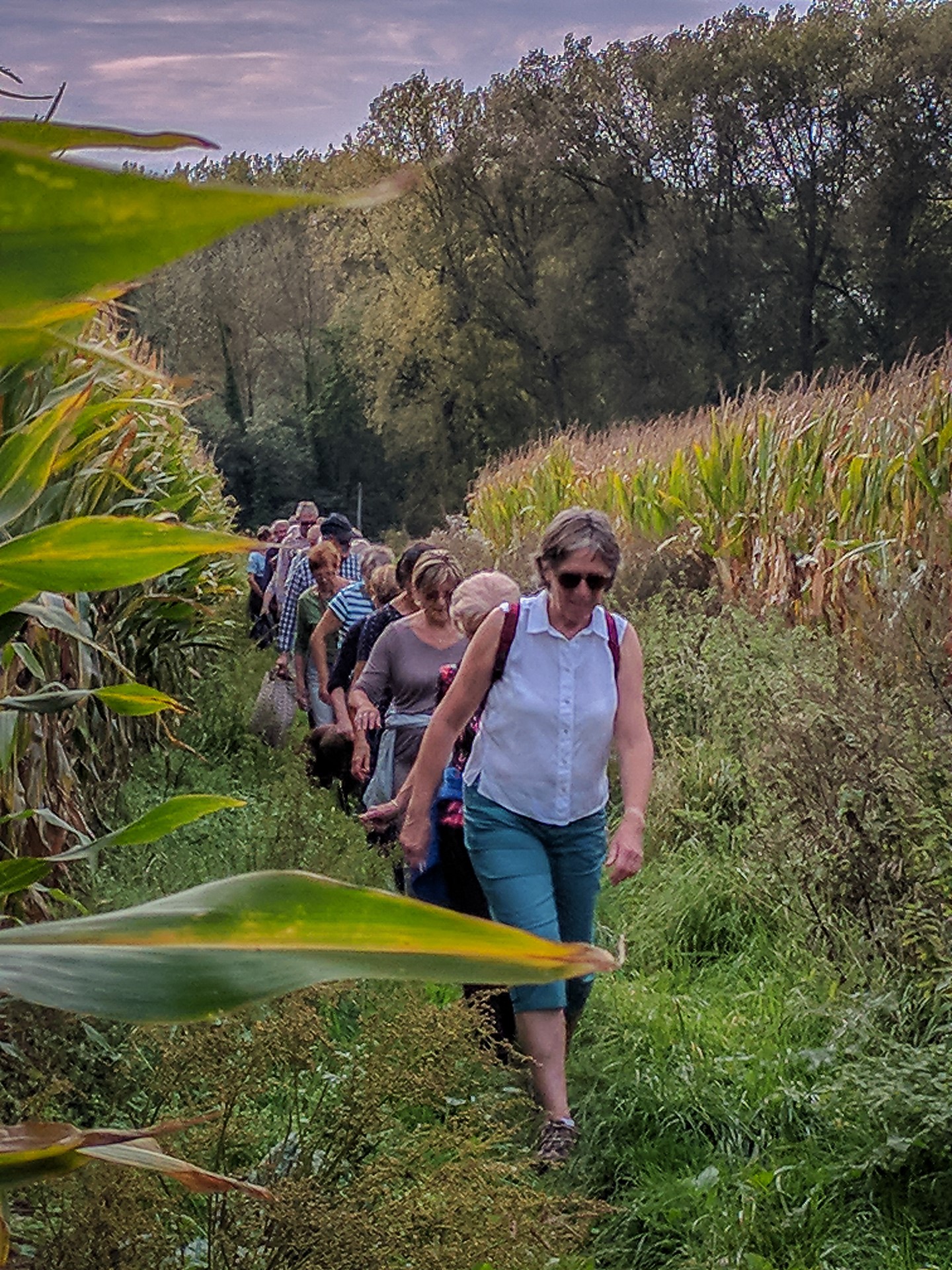 Wandeling september 2024