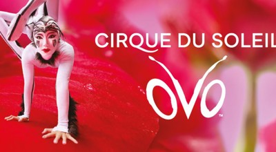 Cirque du soleil OVO