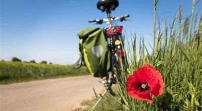 Provinciale Wandeldag