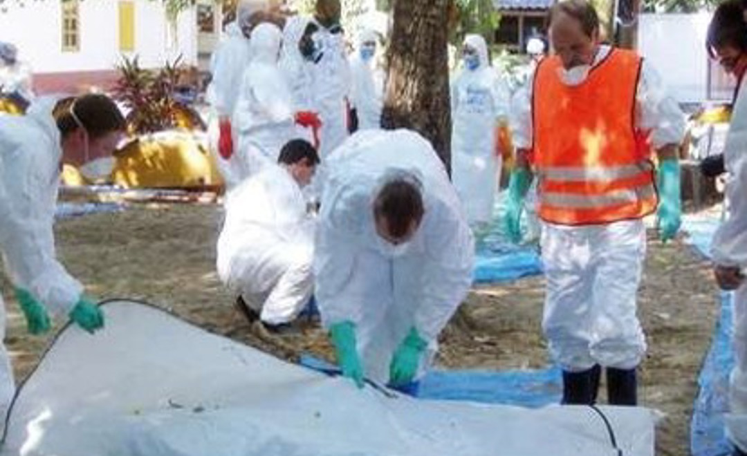 Lezing Als Doden Een Gezicht Krijgen