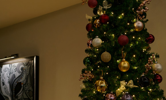 035 12 Dec 2025 NEOS Kerstfeest 11 ARW Dxo Deepprime Srgb