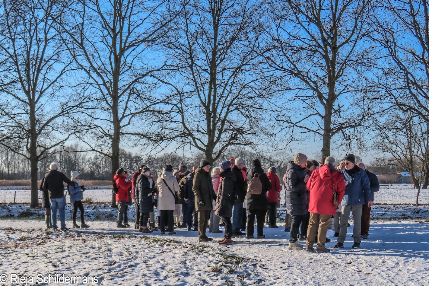 Driekoningen Neos 7029