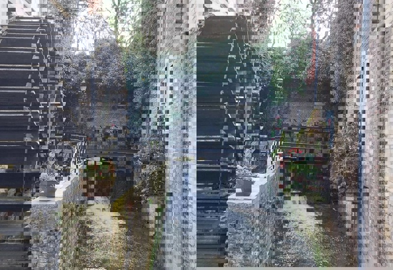 Whatsapp Image 2026 03 10 At 20.56.59 (1)