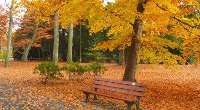 Herfstwandeling