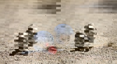 Petanque