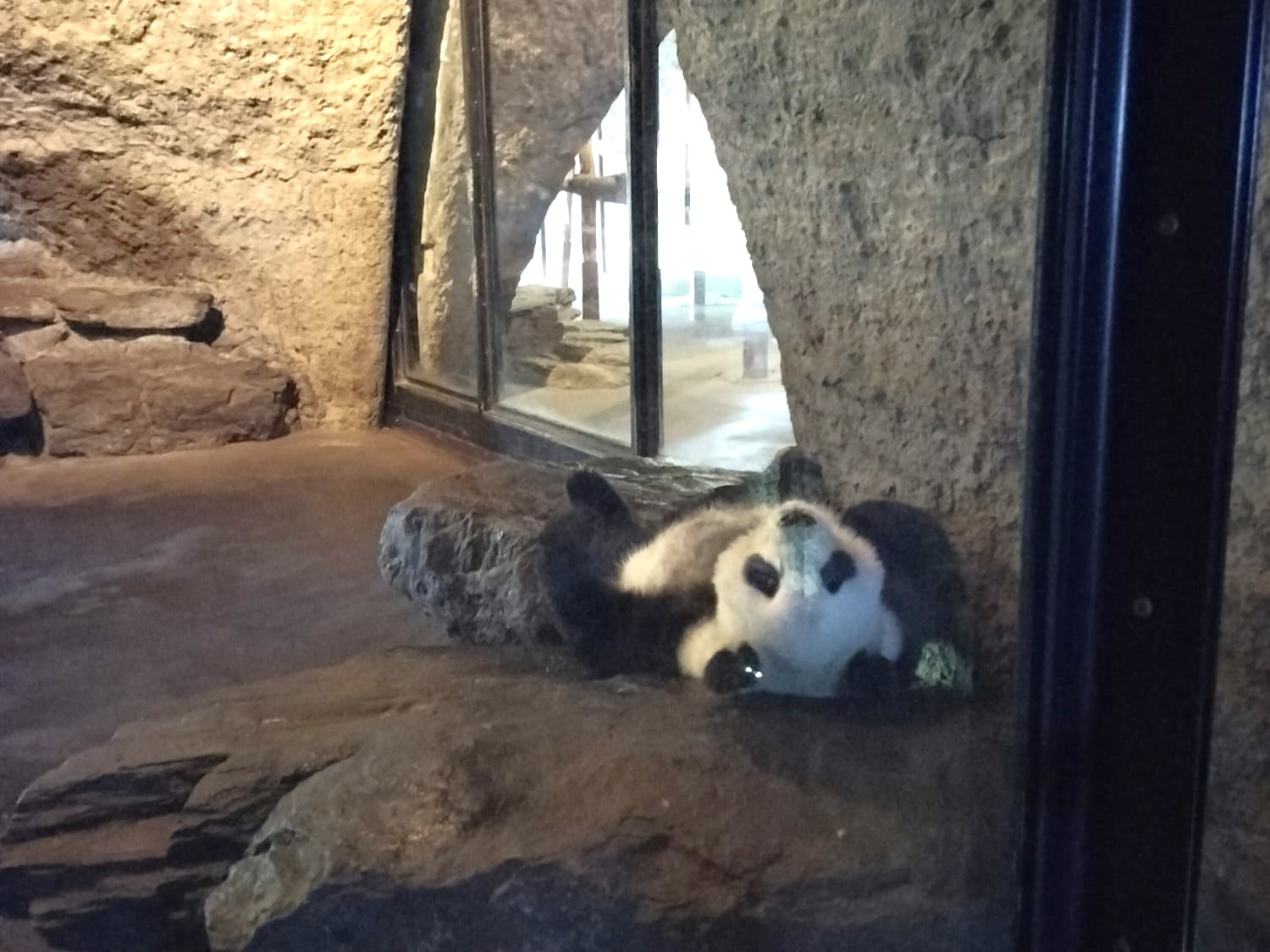 Daguitstap: Pairi Daiza