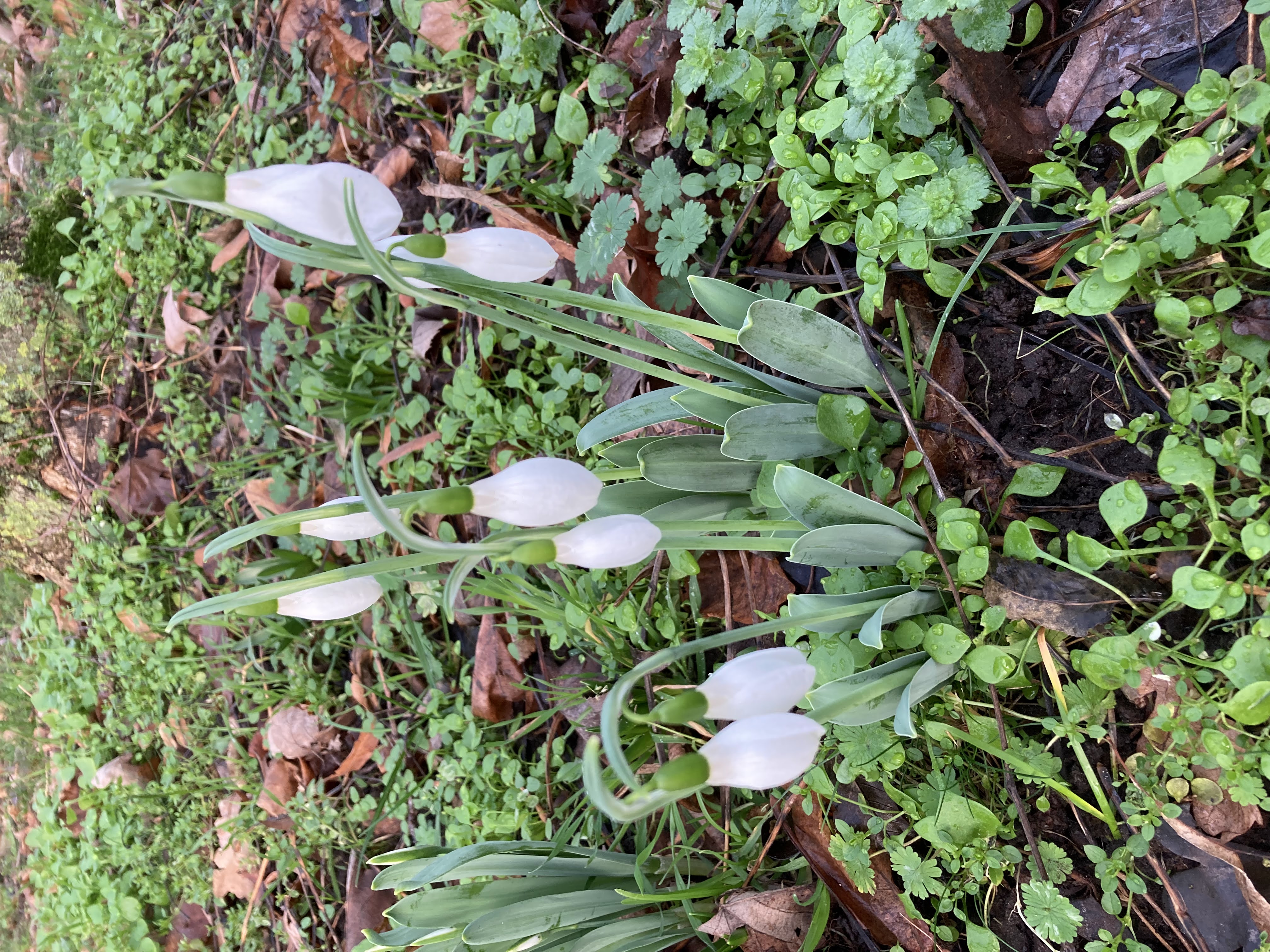 2024-01-16 Jaarvergadering en jaarbanket