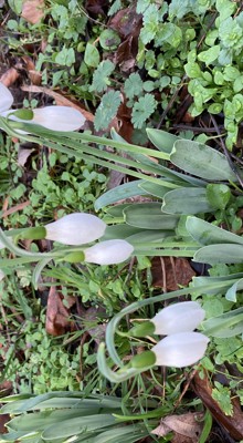 2024-01-16 Jaarvergadering en jaarbanket