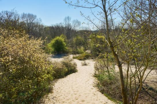 Wandeltocht 2