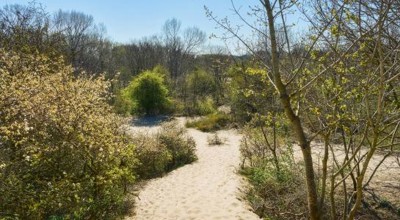 Wandeltocht 2