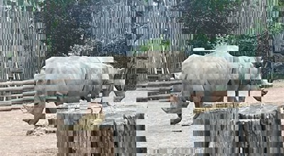 8Fcea587 329E 465A 8593 529E7c4f4d9a