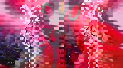 OVO Cirque Du Soleil Jpeg.1