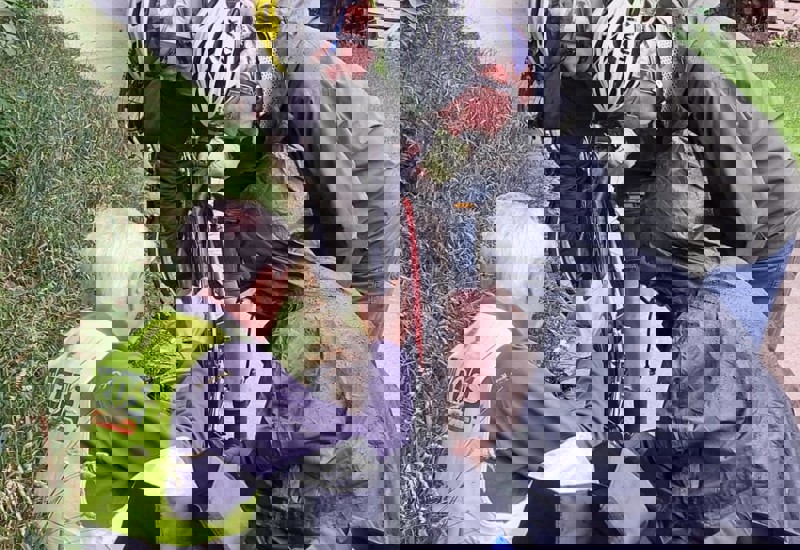 IMG 20250627 WA0002