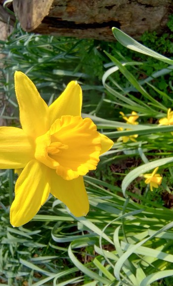 IMG 20240307 104847208 HDR