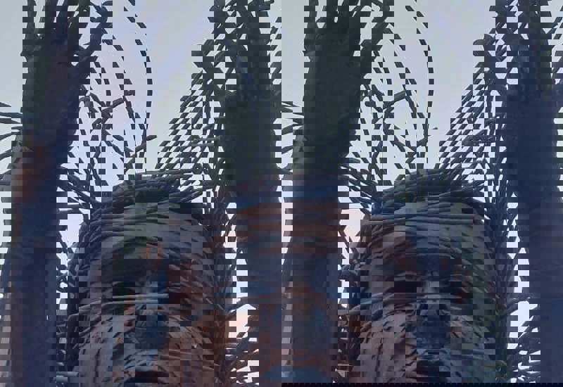 IMG 20250627 WA0036