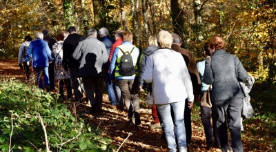 5Ed278f2 Db18 492F 9D94 0270812164F8 1 105 C