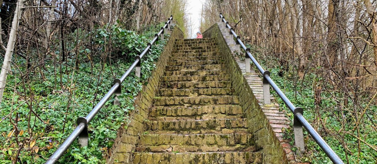 250203_Wand Borreberg