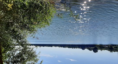 20220724 100710 Eglegemvijver