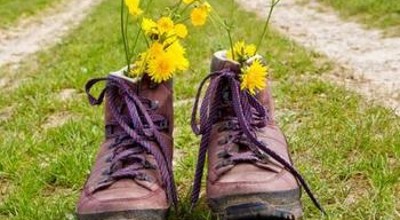 Schoenen