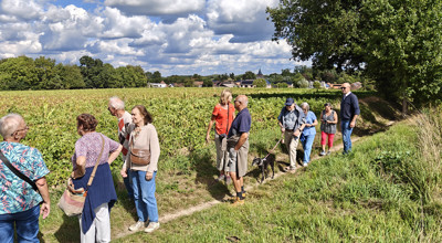 110 Bierbeek 05 09 2025