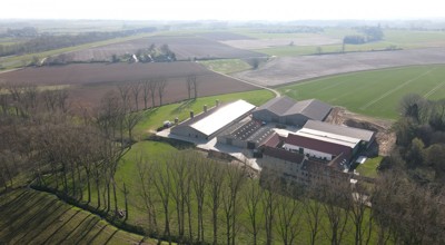 Dehertog