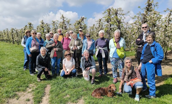 Bloesemwandeling