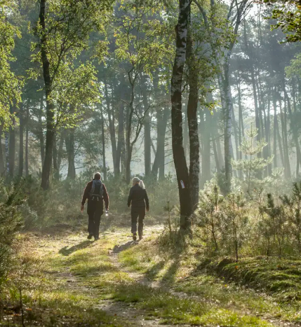 20240526 28Hoge Veluwe