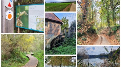Lubbeek Collage M