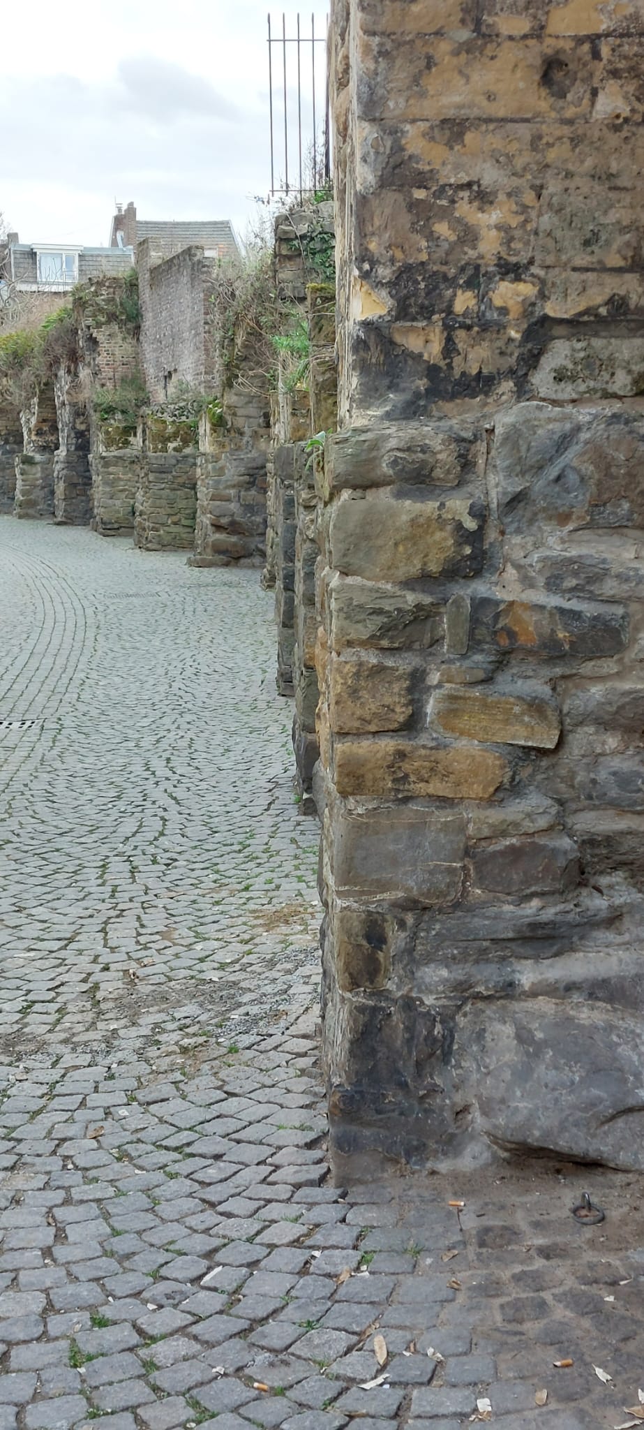 Whatsapp Image 2026 03 10 At 20.57.03 (3)