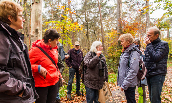 Herfstwandeling (1)