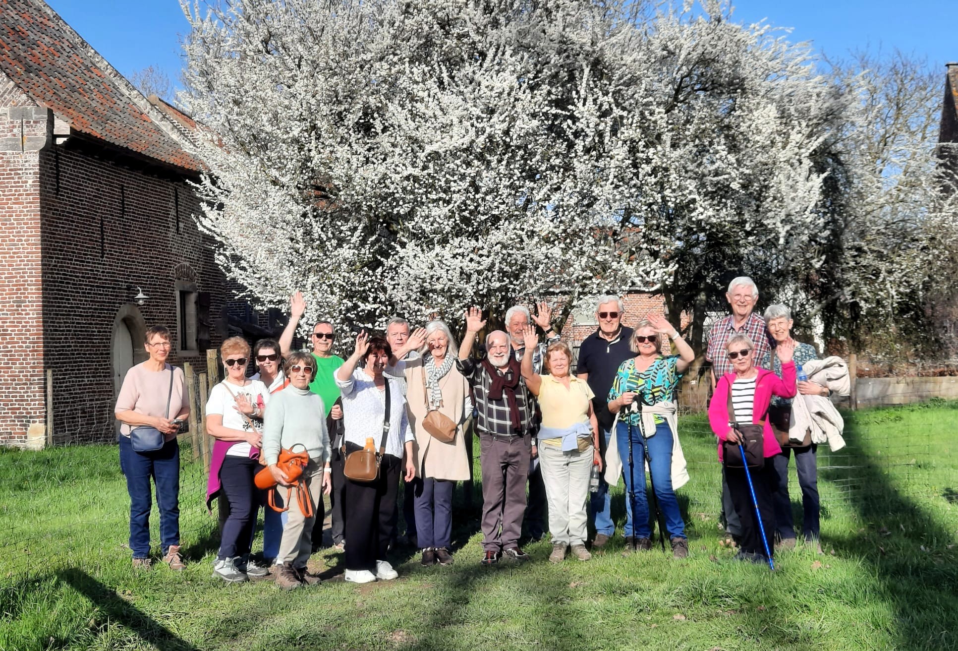 20260305Galmaarden35