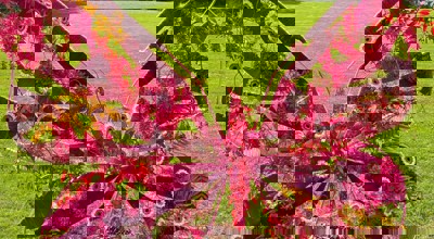 Afbeelding Van Whatsapp Op 2025 09 26 Om 21.15.16 A685b759