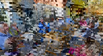 Afbeelding Van Whatsapp Op 2025 11 05 Om 16.53.11 E145bd85