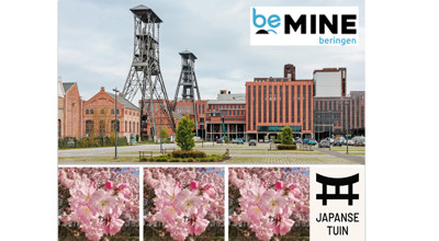 Beringen 8 April 1200 525