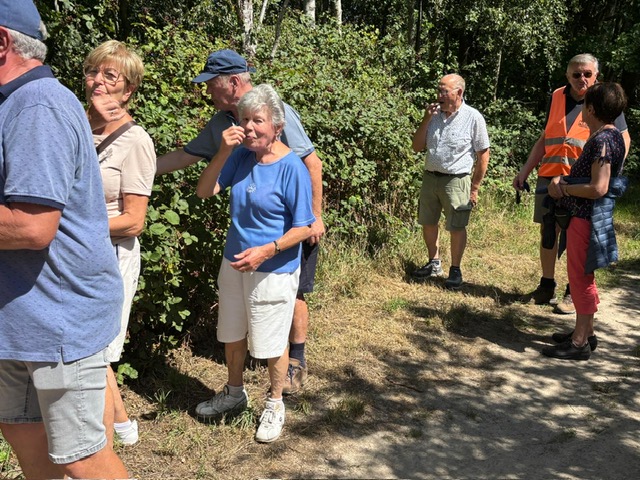 4B0c47fc 9E96 4D68 9Ab8 Fb76e4ca4b68