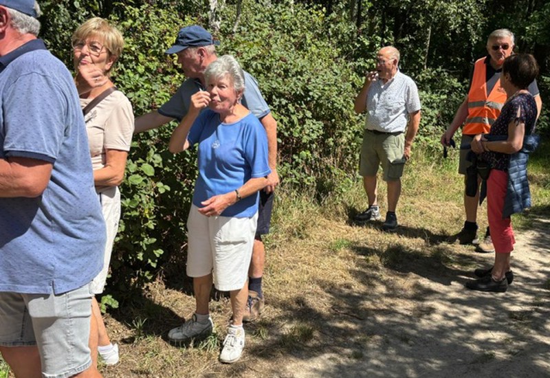 4B0c47fc 9E96 4D68 9Ab8 Fb76e4ca4b68