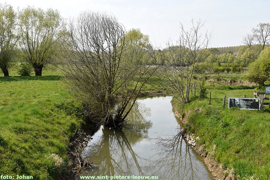 2021 04 28 Natuurreservaat Volsembroek 04